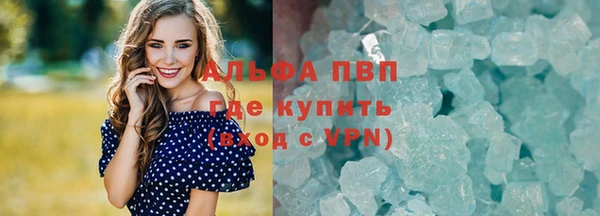 мяу мяу мука Белокуриха