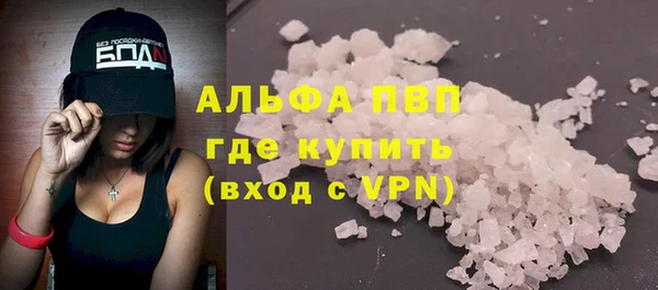 мяу мяу мука Белокуриха