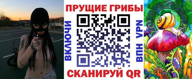 Галлюциногенные грибы MAGIC MUSHROOMS  блэк спрут ССЫЛКА  Волчанск 